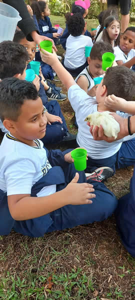 Bicho Mania 2022